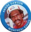 1984 Fun Foods Pins #22 Andre Dawson Front