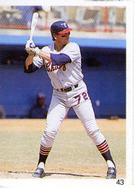 1989 Red Foley Stickers #43 Carlton Fisk Front
