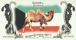 2010 Topps Allen & Ginter - Mini National Animals #NA17 Camel / Kuwait Front