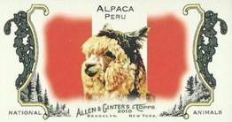 2010 Topps Allen & Ginter - Mini National Animals #NA19 Alpaca / Peru Front