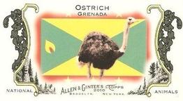 2010 Topps Allen & Ginter - Mini National Animals #NA7 Ostrich / Grenada Front