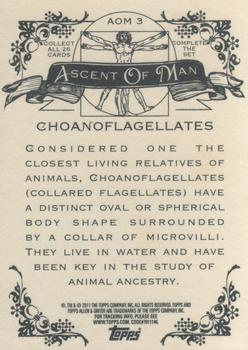 2011 Topps Allen & Ginter - Ascent of Man #AOM3 Choanoflagellates Back