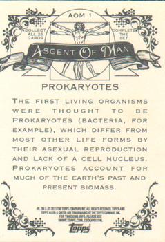 2011 Topps Allen & Ginter - Ascent of Man #AOM1 Prokaryotes Back