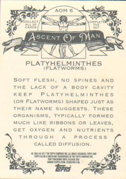2011 Topps Allen & Ginter - Ascent of Man #AOM6 Platyhelminthes (Flatworms) Back
