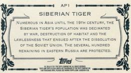 2011 Topps Allen & Ginter - Mini Animals in Peril #AP1 Siberian Tiger Back