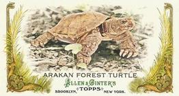 2011 Topps Allen & Ginter - Mini Animals in Peril #AP3 Arakan Forest Turtle Front