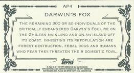 2011 Topps Allen & Ginter - Mini Animals in Peril #AP4 Darwin's Fox Back