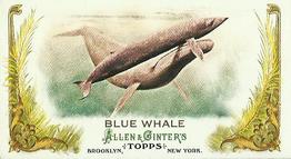2011 Topps Allen & Ginter - Mini Animals in Peril #AP8 Blue Whale Front
