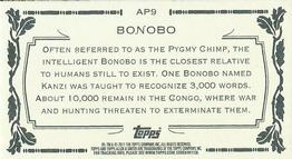 2011 Topps Allen & Ginter - Mini Animals in Peril #AP9 Bonobo Back