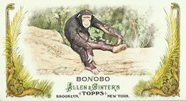 2011 Topps Allen & Ginter - Mini Animals in Peril #AP9 Bonobo Front