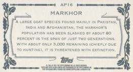 2011 Topps Allen & Ginter - Mini Animals in Peril #AP16 Markhor Back