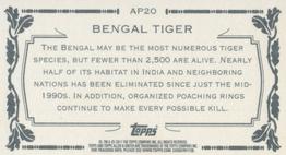 2011 Topps Allen & Ginter - Mini Animals in Peril #AP20 Bengal Tiger Back