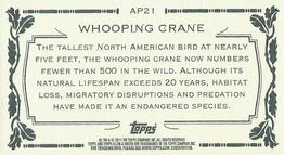 2011 Topps Allen & Ginter - Mini Animals in Peril #AP21 Whooping Crane Back