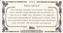 2011 Topps Allen & Ginter - Mini Animals in Peril #AP23 Red Wolf Back