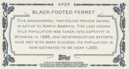 2011 Topps Allen & Ginter - Mini Animals in Peril #AP25 Black-Footed Ferret Back