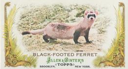 2011 Topps Allen & Ginter - Mini Animals in Peril #AP25 Black-Footed Ferret Front