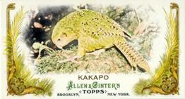 2011 Topps Allen & Ginter - Mini Animals in Peril #AP30 Kakapo Front
