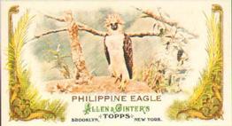 2011 Topps Allen & Ginter - Mini Animals in Peril #AP15 Philippine Eagle Front
