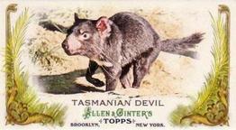 2011 Topps Allen & Ginter - Mini Animals in Peril #AP19 Tasmanian Devil Front