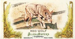 2011 Topps Allen & Ginter - Mini Animals in Peril #AP23 Red Wolf Front
