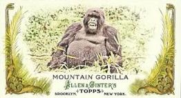 2011 Topps Allen & Ginter - Mini Animals in Peril #AP2 Mountain Gorilla Front
