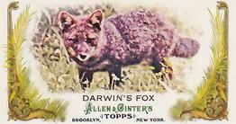 2011 Topps Allen & Ginter - Mini Animals in Peril #AP4 Darwin's Fox Front