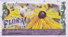 2011 Topps Allen & Ginter - Mini Flora of the World #FOW-1 Black-Eyed Susan Front