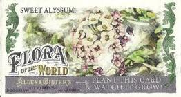 2011 Topps Allen & Ginter - Mini Flora of the World #FOW-5 Sweet Alyssum Front