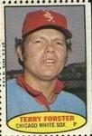 1974 Topps Stamps #NNO Terry Forster Front