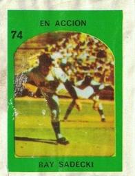 1972 Topps Venezuelan Stamps #74 Ray Sadecki Front