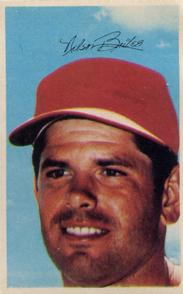 1969-70 MLB/MLBPA Baseball Stars Photostamps #NNO Nelson Briles Front