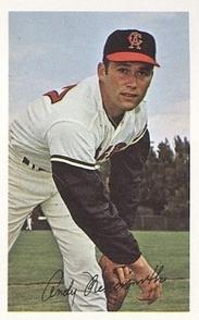 1969-70 MLB/MLBPA Baseball Stars Photostamps #NNO Andy Messersmith Front