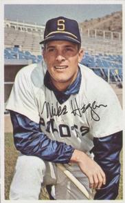 1969-70 MLB/MLBPA Baseball Stars Photostamps #NNO Mike Hegan Front