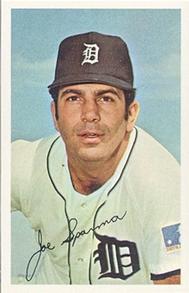 1969-70 MLB/MLBPA Baseball Stars Photostamps #NNO Joe Sparma Front