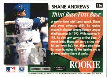 1995 Summit - Nth Degree #116 Shane Andrews Back