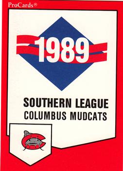 1989 ProCards Minor League Team Sets #119 Checklist Front