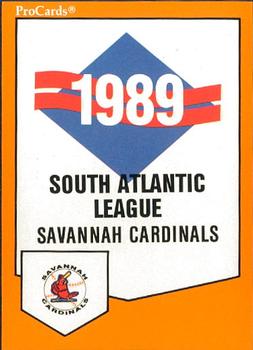 1989 ProCards Minor League Team Sets #342 Checklist Front