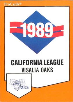 1989 ProCards Minor League Team Sets #1419 Checklist Front