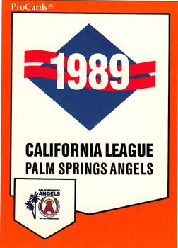 1989 ProCards Minor League Team Sets #462 Checklist Front
