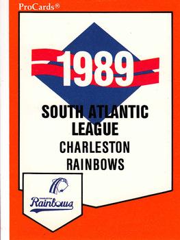 1989 ProCards Minor League Team Sets #969 Checklist Front