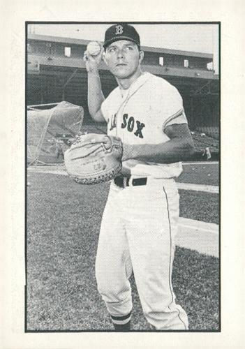 1981 Boston Globe Boston Red Sox #106 Mike Ryan Front