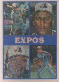 1987 Sportflics Team Preview #20 Hubie Brooks / Tim Burke / Casey Candaele / Dave Collins / Mike Fitzgerald / Andres Galarraga / Billy Moore / Alonzo Powell / Randy St. Claire / Tim Wallach / Mitch Webster / Floyd Youmans Front