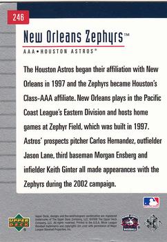 2002 Upper Deck Minor League #246 New Orleans Zephyrs Back