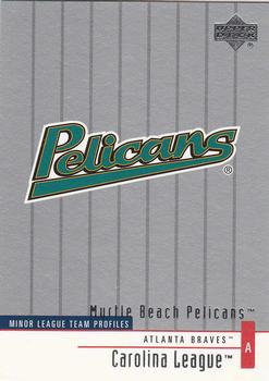 2002 Upper Deck Minor League #264 Myrtle Beach Pelicans Front