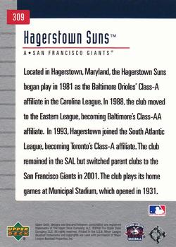 2002 Upper Deck Minor League #309 Hagerstown Suns Back