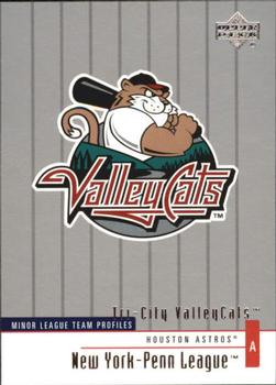 2002 Upper Deck Minor League #250 Tri-City ValleyCats Front
