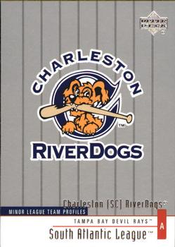 2002 Upper Deck Minor League #287 Charleston SC RiverDogs Front