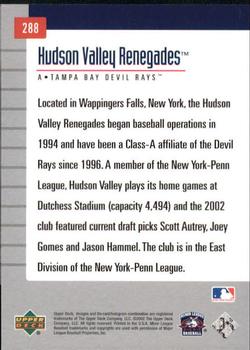 2002 Upper Deck Minor League #288 Hudson Valley Renegades Back