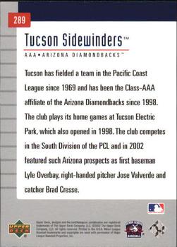 2002 Upper Deck Minor League #289 Tucson Sidewinders Back