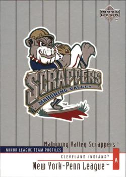 2002 Upper Deck Minor League #316 Mahoning Valley Scrappers Front